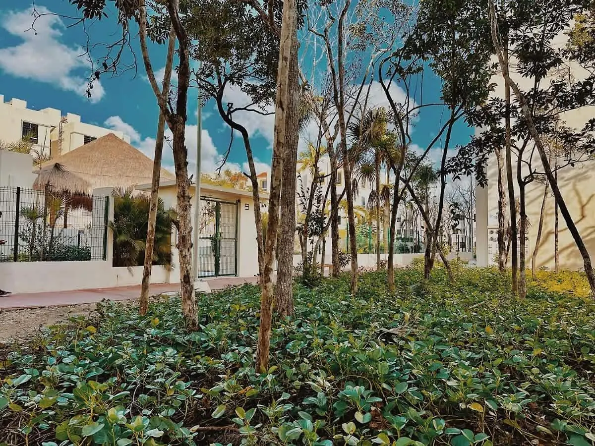 Zamna 5 Minutes Apartment Tulum 0*,